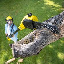 Trusted Fairlawn, VA Tree Removal and Landscaping Services Experts